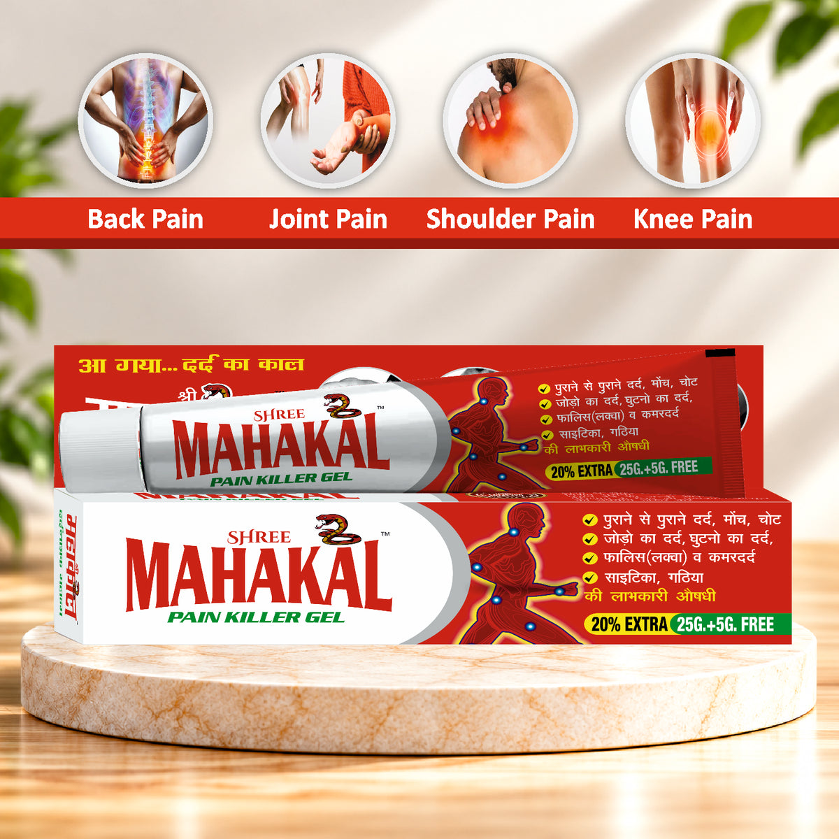 Shree Mahakal Pain Killer Gel